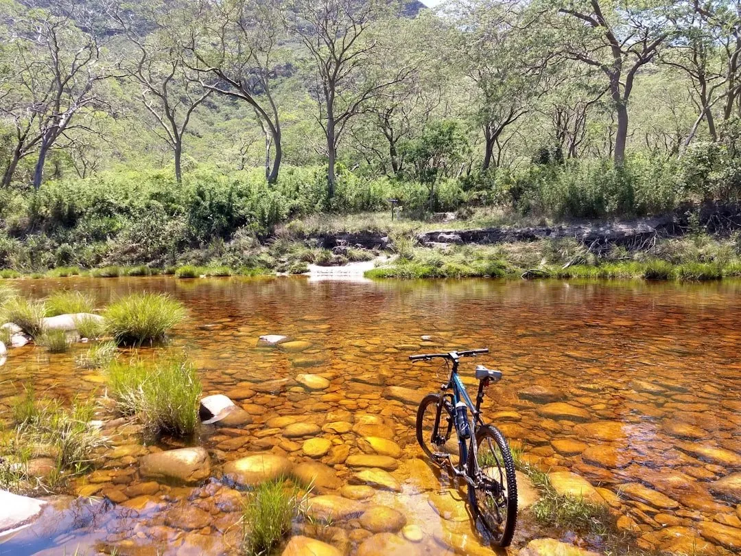 Photo Mountain biking