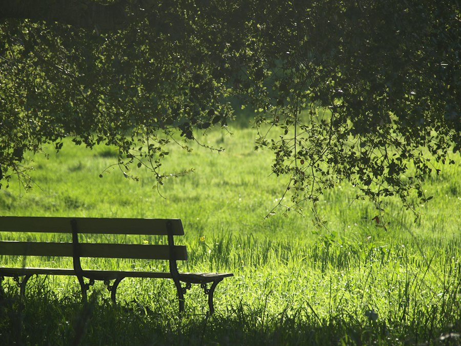 rest