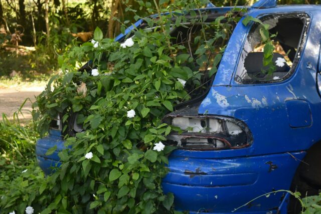 Photo accidentările